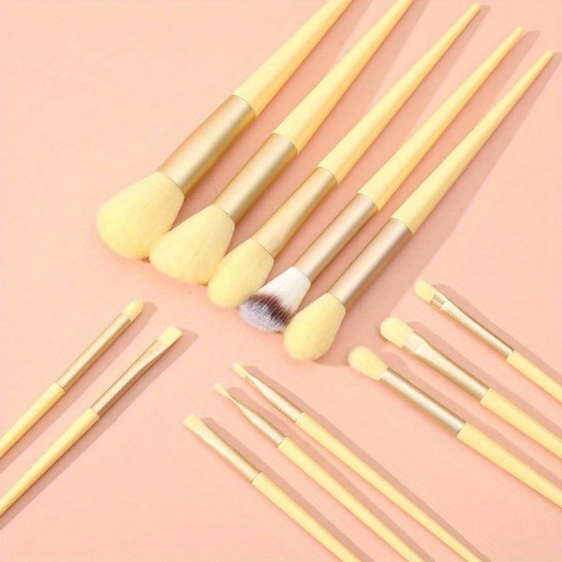 13-Piece Professional Makeup Brush & Sponge Set