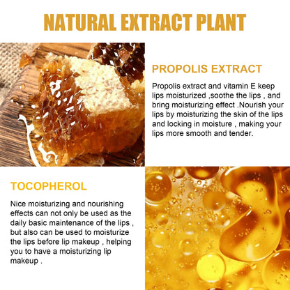 EELHOE Honey Lip Mask – Moisturizing & Exfoliating
