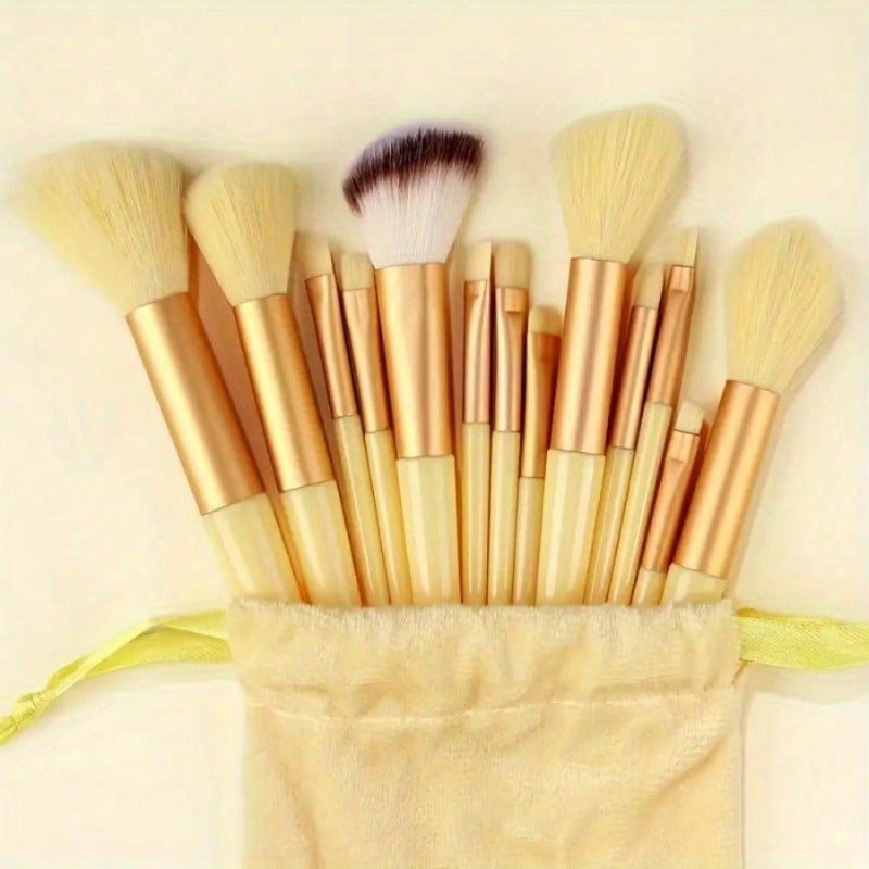 13-Piece Professional Makeup Brush & Sponge Set
